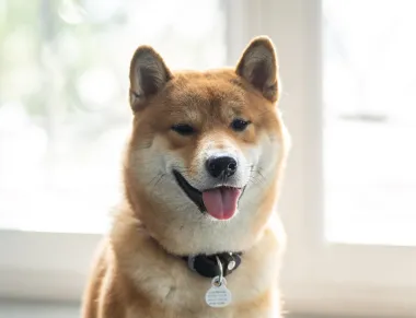https://crustlab.com/wp-content/uploads/2021/08/3-10.png
